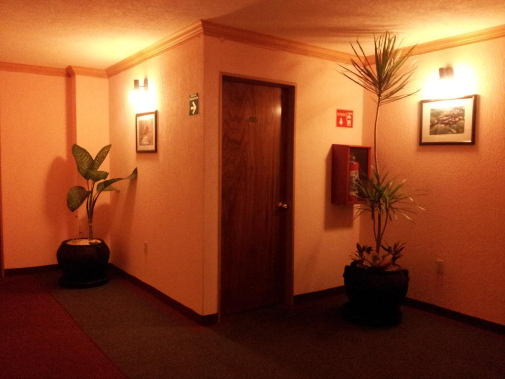 Hotel Siesta del Sur México DF Exterior foto